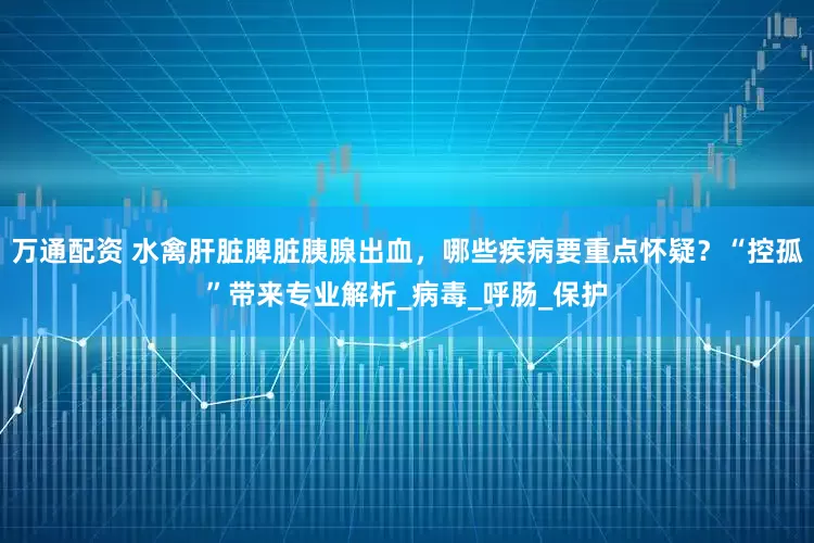 万通配资 水禽肝脏脾脏胰腺出血，哪些疾病要重点怀疑？“控孤”带来专业解析_病毒_呼肠_保护